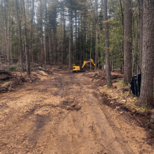 Roadway Clearing